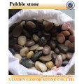 Mixed color pebble stone